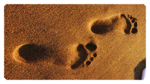 DSC700 127 (Beach) Footprints